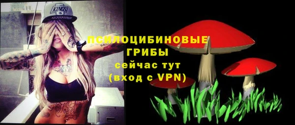 герыч Алзамай