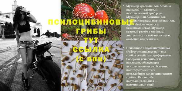герыч Алзамай