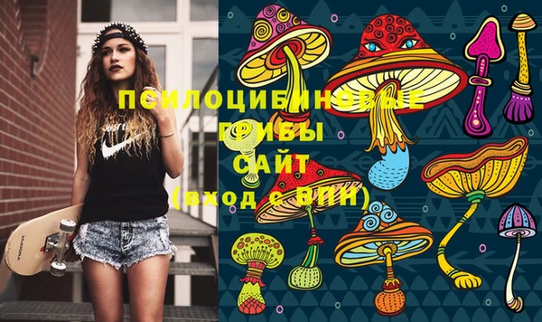 герыч Алзамай